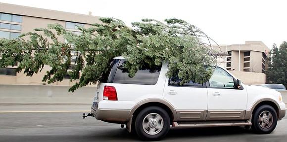 karácsonyfa szállítás