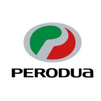 Perodua tetőcsomagtartó